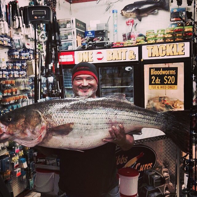 This striper currently holds the first place spot in the…