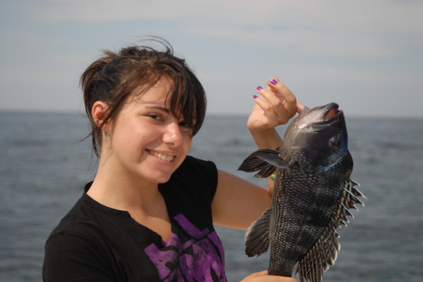 Black Sea Bass, Jersey Shore Beach N Boat Fishing Tournament