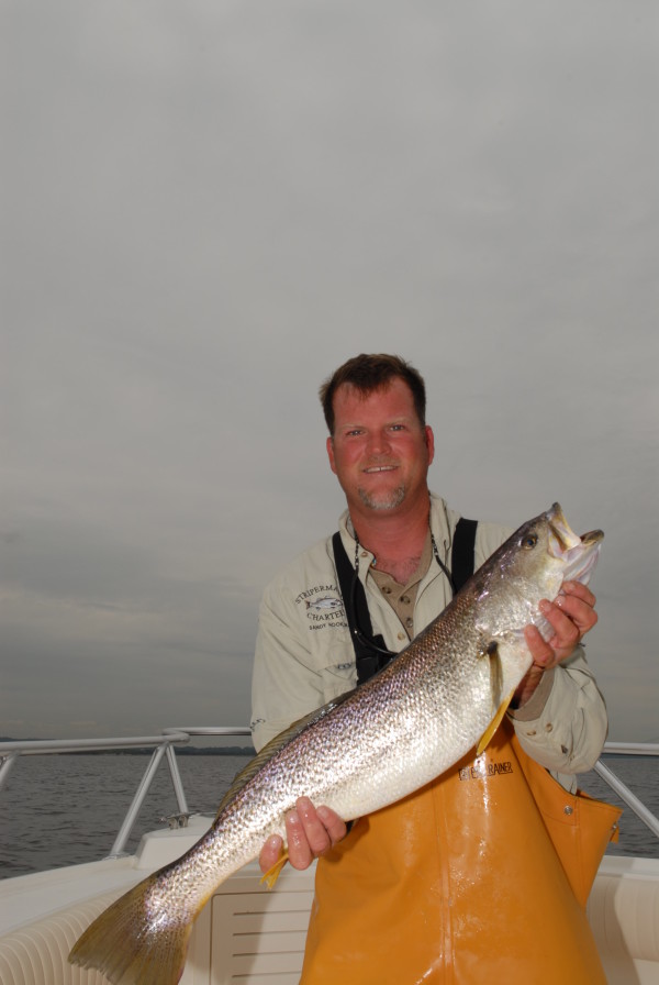 Weakfish, Jersey Shore Beach N Boat Fishing Tournament