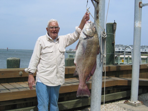 Striped Bass Hooked Up, Jersey Shore Beach N Boat Fishing Tournament