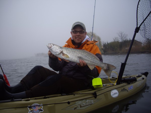 Weakfish_Tholen130507A